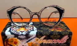 Sille Optique Opticien Le Mans ANACOLE 1